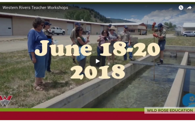 teacher workshops